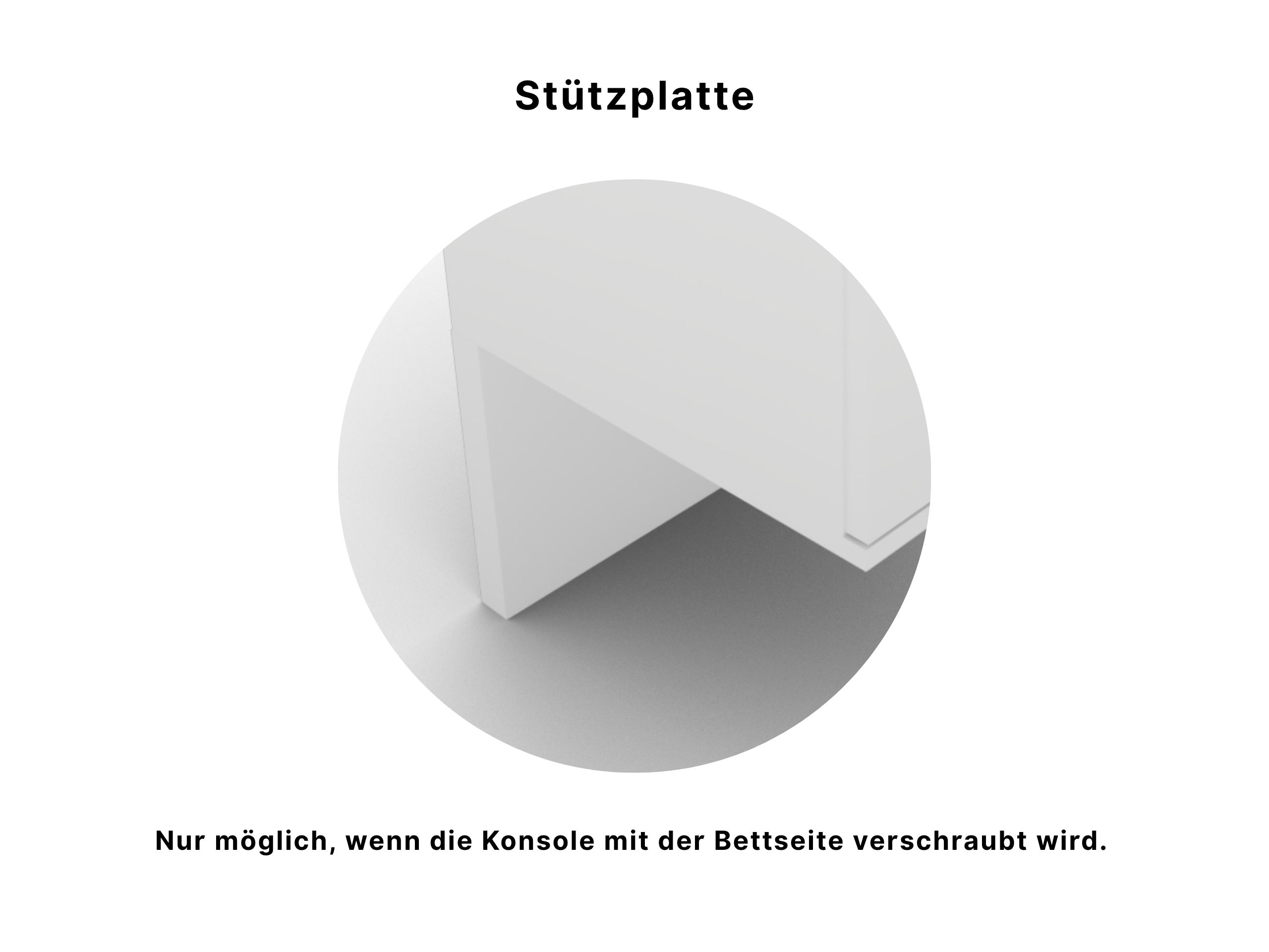 Abbildung Disselkamp Hangekonsole Stuetzplatte einfarbig